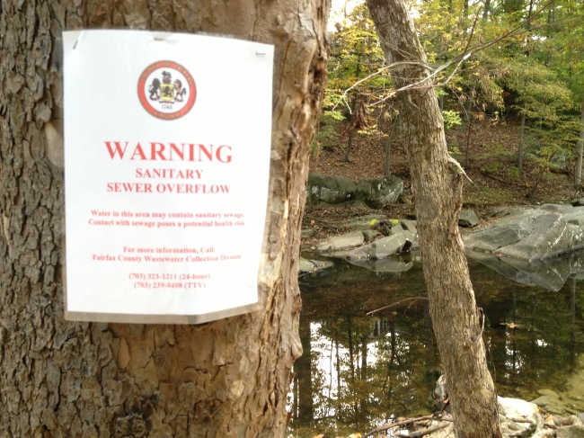 Warning sign posted on a tree